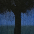 Black Tree by Paul Kerr